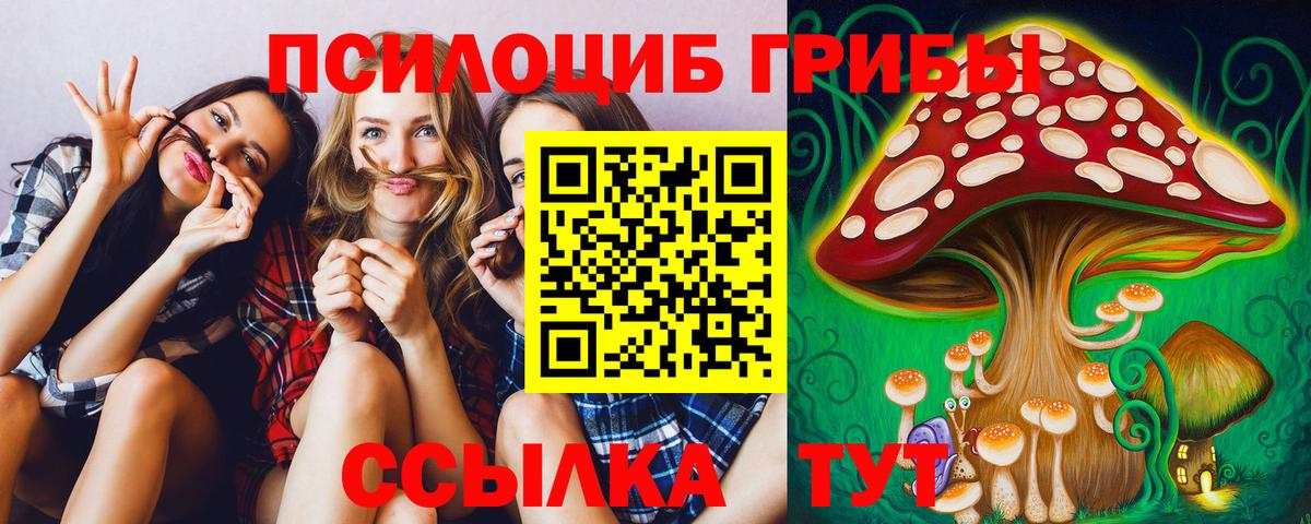 Псилоцибиновые грибы мицелий  хочу   Вход с VPN  Нефтекамск  Псилоцибиновые грибы Cubensis 